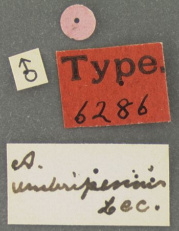 Media type: image;   Entomology 6286 Aspect: labels